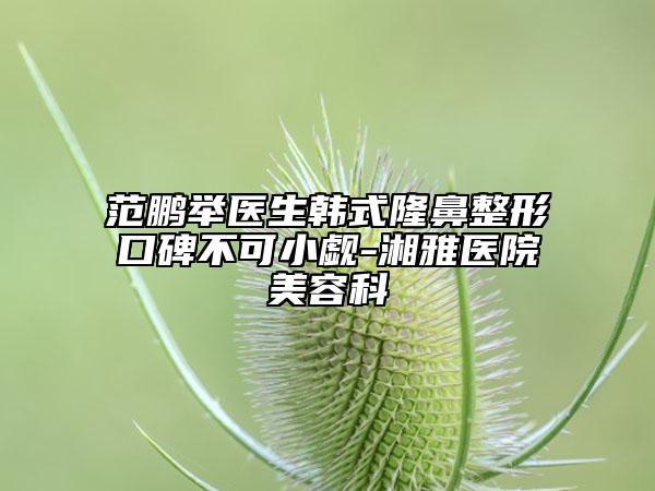 范鹏举医生韩式隆鼻整形口碑不可小觑-湘雅医院美容科