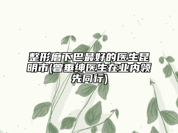 整形磨下巴最好的医生昆明市(曾垂绅医生在业内领先同行)