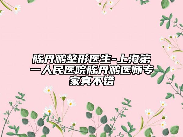 陈丹鹏整形医生-上海第一人民医院陈丹鹏医师专家真不错