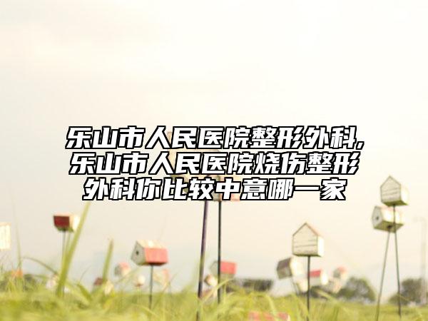乐山市人民医院整形外科,乐山市人民医院烧伤整形外科你比较中意哪一家
