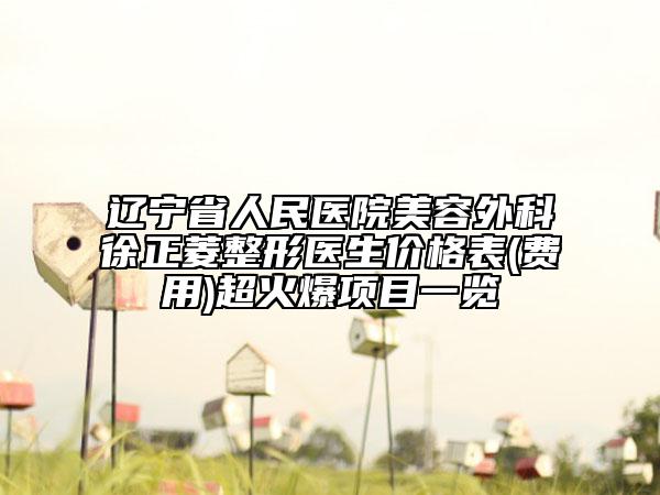 辽宁省人民医院美容外科徐正菱整形医生价格表(费用)超火爆项目一览