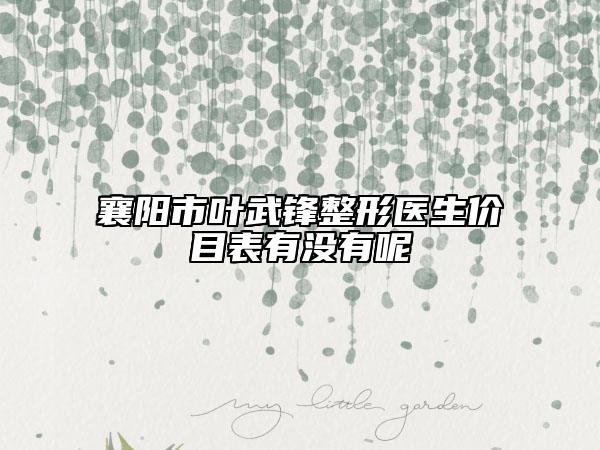 襄阳市叶武锋整形医生价目表有没有呢