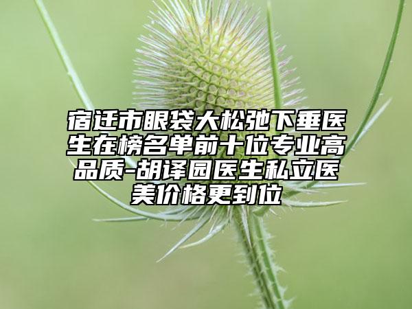 宿迁市眼袋大松弛下垂医生在榜名单前十位专业高品质-胡译园医生私立医美价格更到位