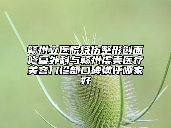 赣州立医院烧伤整形创面修复外科与赣州虔美医疗美容门诊部口碑横评哪家好