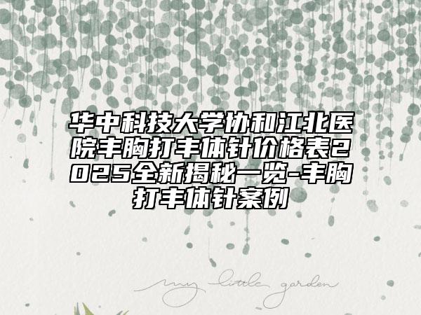华中科技大学协和江北医院丰胸打丰体针价格表2025全新揭秘一览-丰胸打丰体针案例