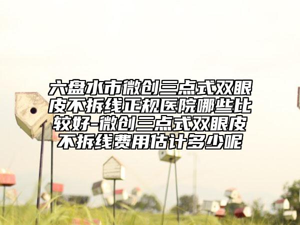 六盘水市微创三点式双眼皮不拆线正规医院哪些比较好-微创三点式双眼皮不拆线费用估计多少呢