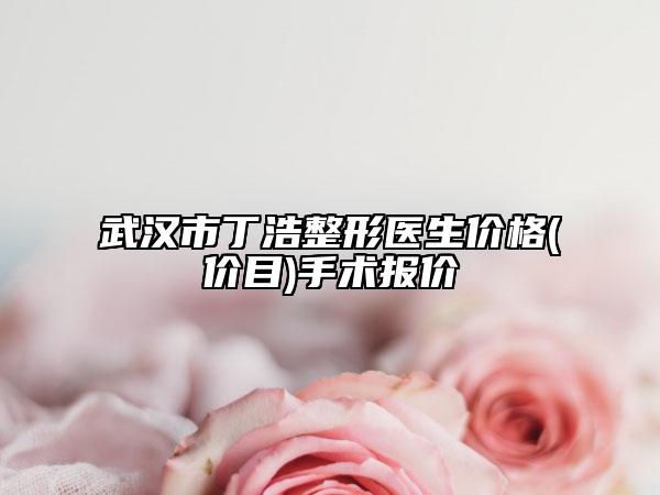武汉市丁浩整形医生价格(价目)手术报价