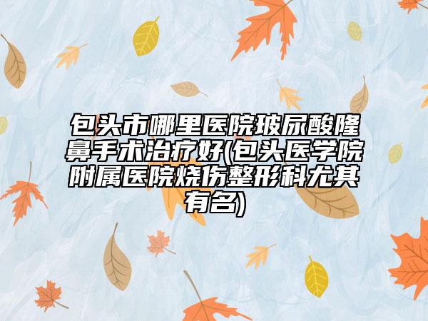 包头市哪里医院玻尿酸隆鼻手术治疗好(包头医学院附属医院烧伤整形科尤其有名)