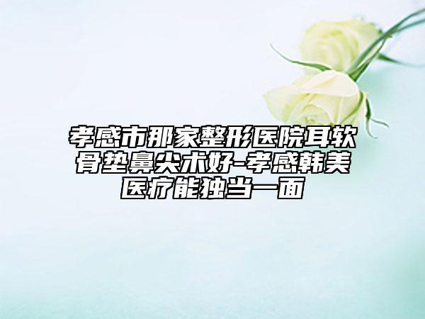 孝感市那家整形医院耳软骨垫鼻尖术好-孝感韩美医疗能独当一面