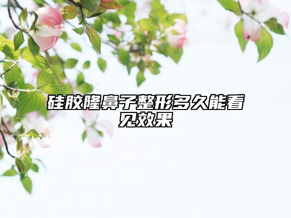 硅胶隆鼻子整形多久能看见效果