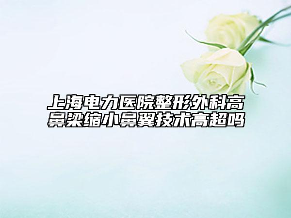 上海电力医院整形外科高鼻梁缩小鼻翼技术高超吗