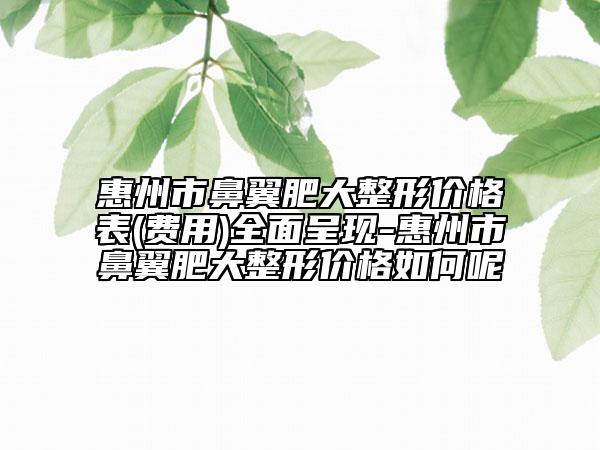 惠州市鼻翼肥大整形价格表(费用)全面呈现-惠州市鼻翼肥大整形价格如何呢