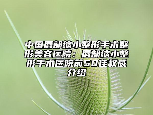 中国唇部缩小整形手术整形美容医院：唇部缩小整形手术医院前50佳权威介绍