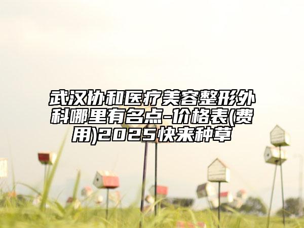 武汉协和医疗美容整形外科哪里有名点-价格表(费用)2025快来种草