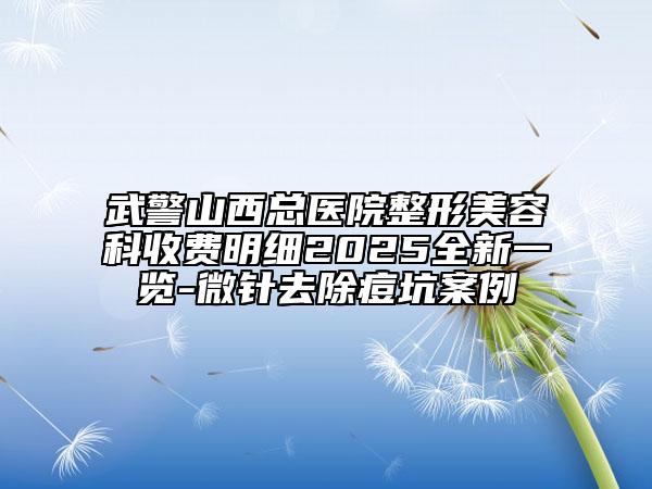 武警山西总医院整形美容科收费明细2025全新一览-微针去除痘坑案例