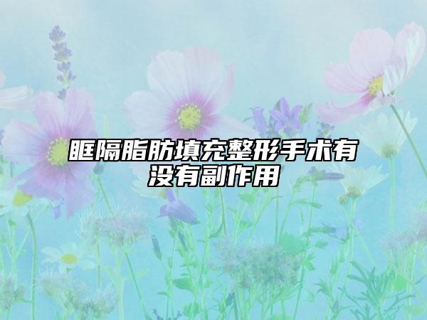 眶隔脂肪填充整形手术有没有副作用