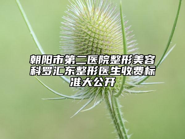 朝阳市第二医院整形美容科罗汇东整形医生收费标准大公开
