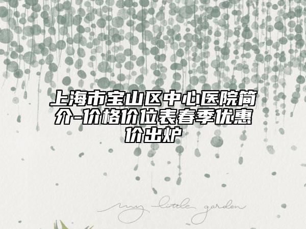 上海市宝山区中心医院简介-价格价位表春季优惠价出炉