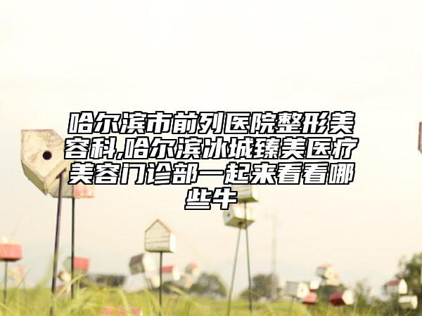 哈尔滨市前列医院整形美容科,哈尔滨冰城臻美医疗美容门诊部一起来看看哪些牛