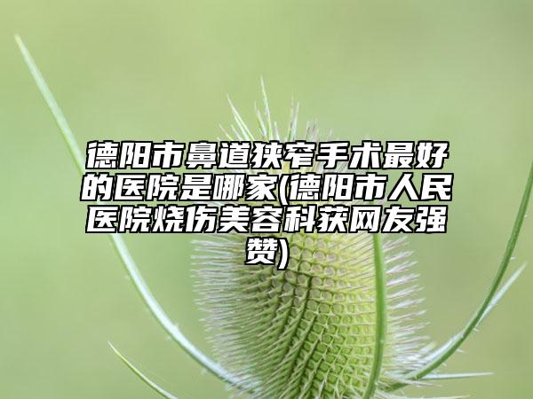 德阳市鼻道狭窄手术最好的医院是哪家(德阳市人民医院烧伤美容科获网友强赞)
