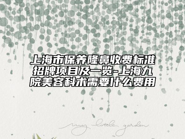 上海市保养隆鼻收费标准招牌项目及一览-上海九院美容科术需要什么费用
