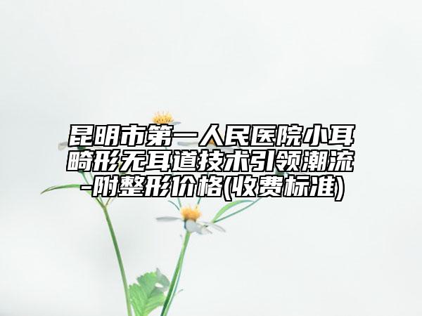 昆明市第一人民医院小耳畸形无耳道技术引领潮流-附整形价格(收费标准)