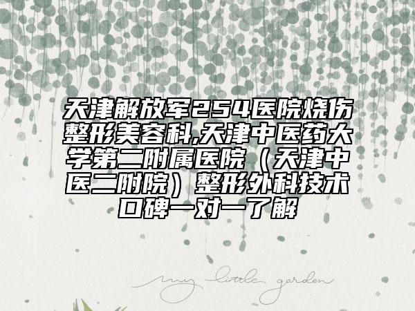 天津解放军254医院烧伤整形美容科,天津中医药大学第二附属医院（天津中医二附院）整形外科技术口碑一对一了解