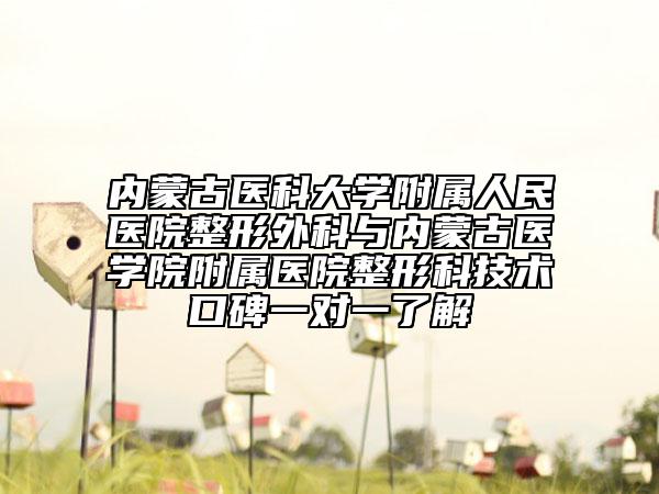 内蒙古医科大学附属人民医院整形外科与内蒙古医学院附属医院整形科技术口碑一对一了解