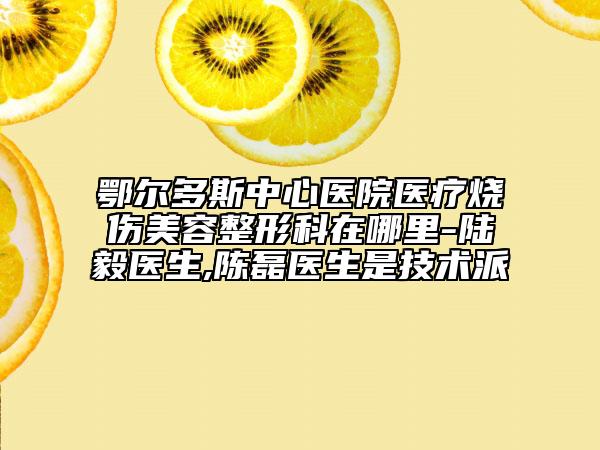 鄂尔多斯中心医院医疗烧伤美容整形科在哪里-陆毅医生,陈磊医生是技术派