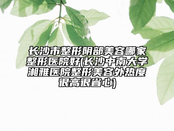 长沙市整形阴部美容哪家整形医院好(长沙中南大学湘雅医院整形美容外热度很高很省心)