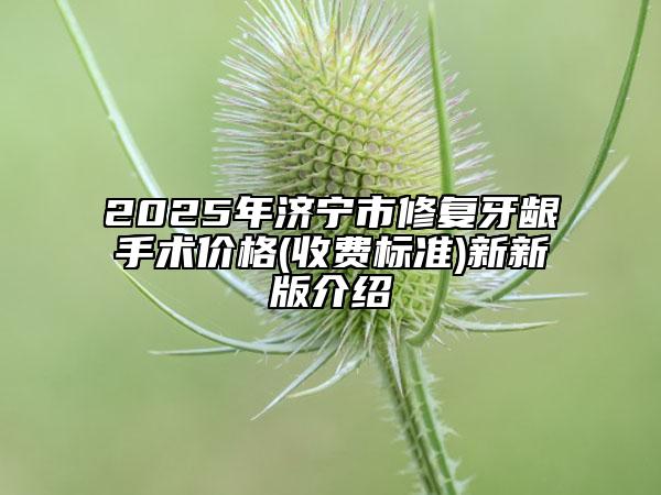 2025年济宁市修复牙龈手术价格(收费标准)新新版介绍