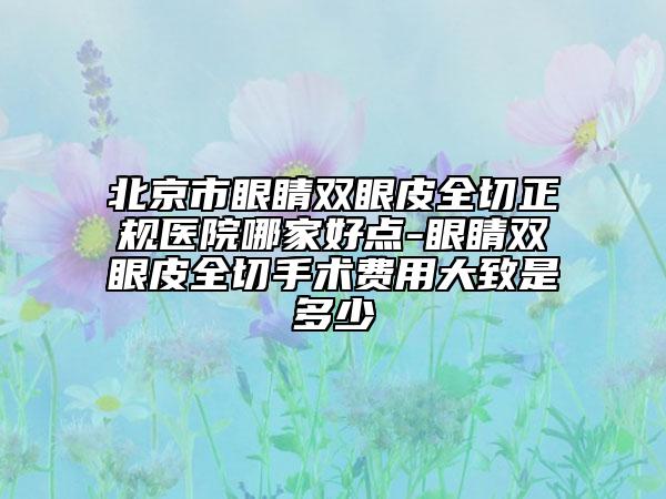 北京市眼睛双眼皮全切正规医院哪家好点-眼睛双眼皮全切手术费用大致是多少