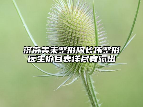 济南美莱整形陶长伟整形医生价目表详尽竟曝出