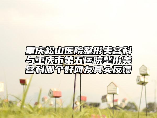 重庆松山医院整形美容科与重庆市第五医院整形美容科哪个好网友真实反馈