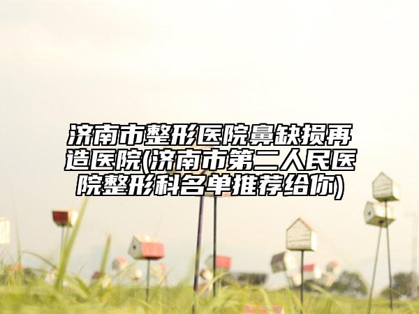 济南市整形医院鼻缺损再造医院(济南市第二人民医院整形科名单推荐给你)