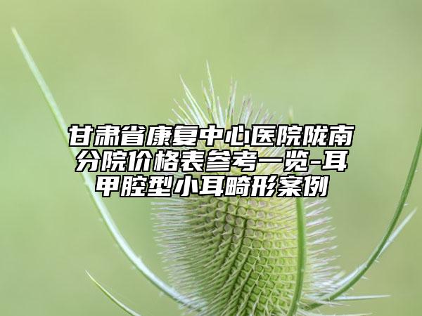 甘肃省康复中心医院陇南分院价格表参考一览-耳甲腔型小耳畸形案例