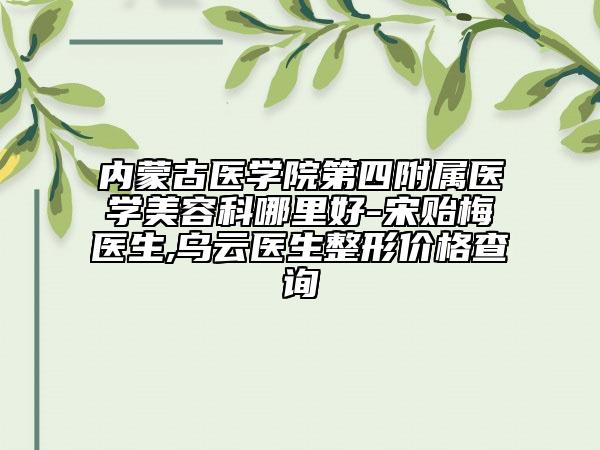 内蒙古医学院第四附属医学美容科哪里好-宋贻梅医生,乌云医生整形价格查询
