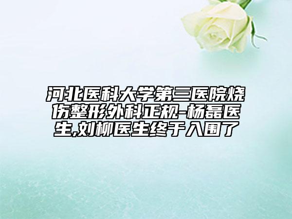 河北医科大学第三医院烧伤整形外科正规-杨磊医生,刘柳医生终于入围了
