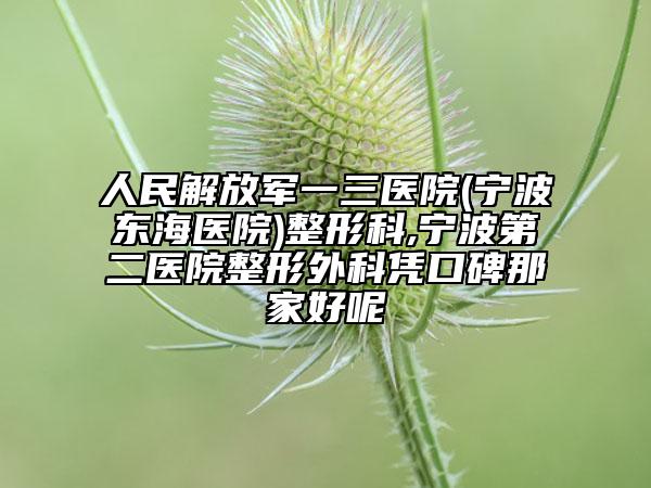 人民解放军一三医院(宁波东海医院)整形科,宁波第二医院整形外科凭口碑那家好呢