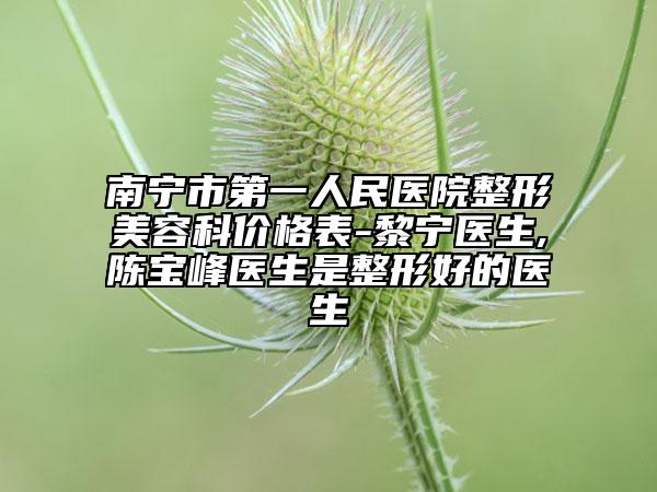 南宁市第一人民医院整形美容科价格表-黎宁医生,陈宝峰医生是整形好的医生
