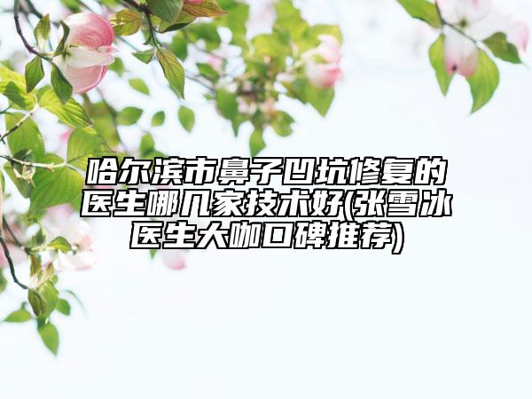 哈尔滨市鼻子凹坑修复的医生哪几家技术好(张雪冰医生大咖口碑推荐)