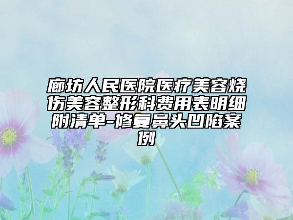 廊坊人民医院医疗美容烧伤美容整形科费用表明细附清单-修复鼻头凹陷案例