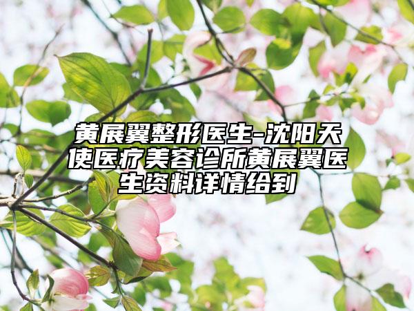黄展翼整形医生-沈阳天使医疗美容诊所黄展翼医生资料详情给到