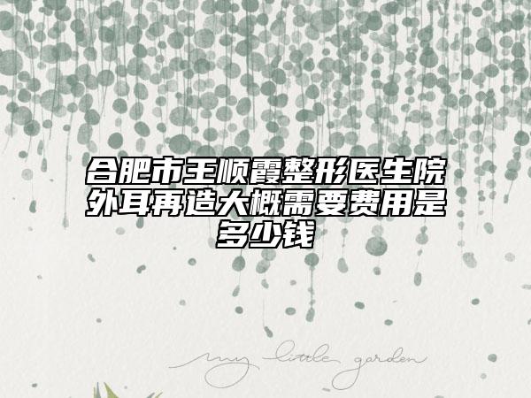 合肥市王顺霞整形医生院外耳再造大概需要费用是多少钱