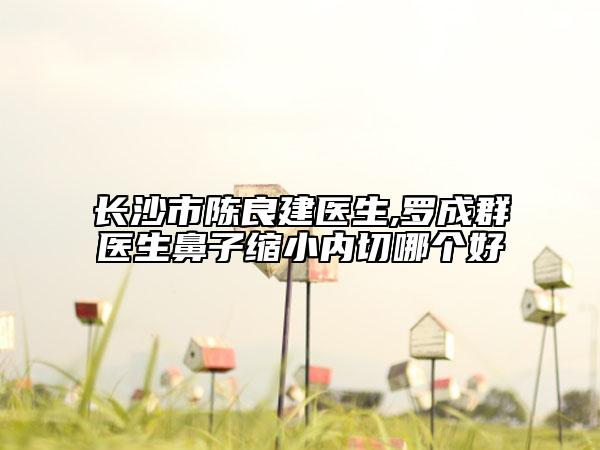 长沙市陈良建医生,罗成群医生鼻子缩小内切哪个好