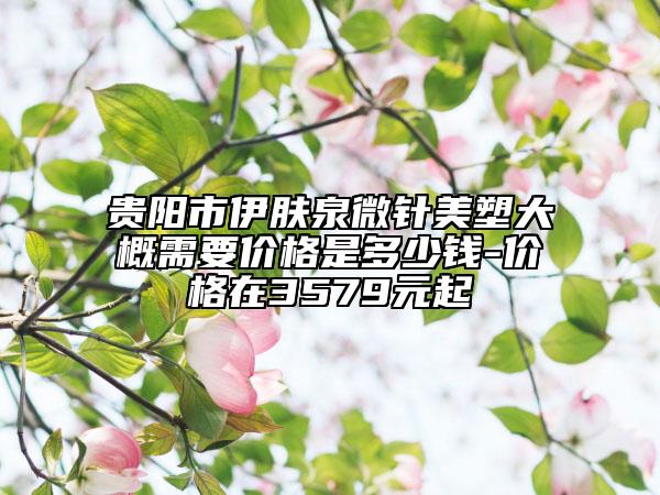 贵阳市伊肤泉微针美塑大概需要价格是多少钱-价格在3579元起