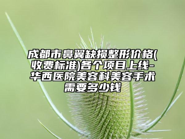 成都市鼻翼缺损整形价格(收费标准)各个项目上线-华西医院美容科美容手术需要多少钱