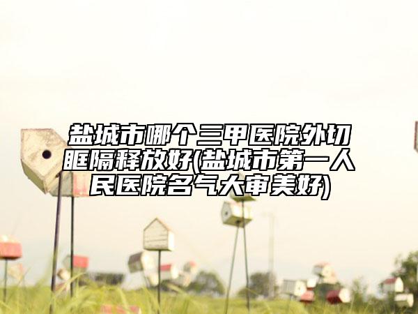 盐城市哪个三甲医院外切眶隔释放好(盐城市第一人民医院名气大审美好)