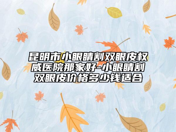 昆明市小眼睛割双眼皮权威医院那家好-小眼睛割双眼皮价格多少钱适合