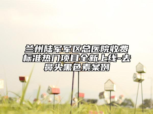 兰州陆军军区总医院收费标准热门项目全新上线-去鼻头黑色素案例